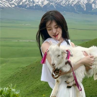 摇滚藏獒:乘风破浪