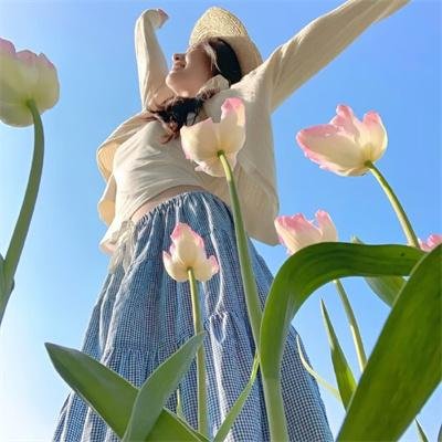 狗果定理